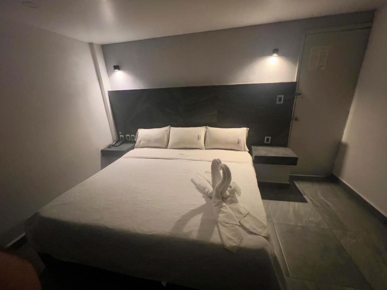 Hotel Aquario Meksika Dış mekan fotoğraf